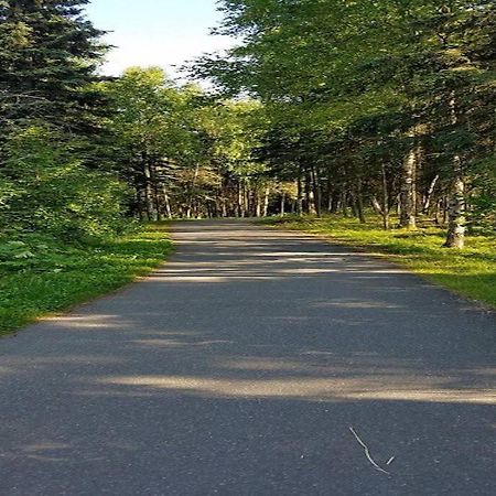 Moose Meadows- Near The Airport, Centrally Located アンカレッジ エクステリア 写真