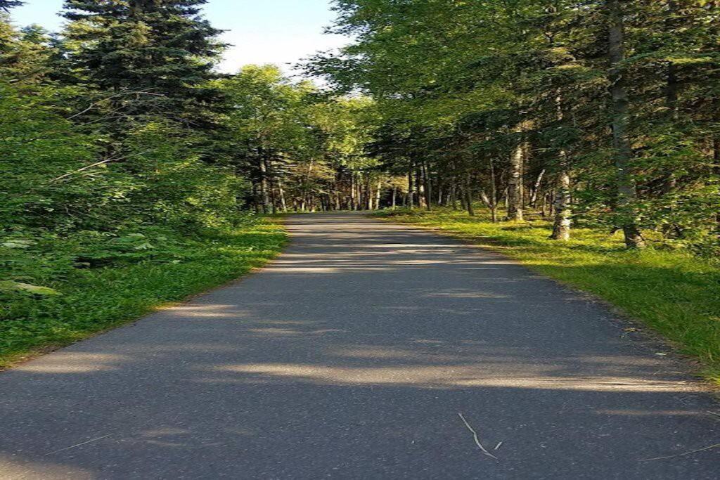 Moose Meadows- Near The Airport, Centrally Located アンカレッジ エクステリア 写真