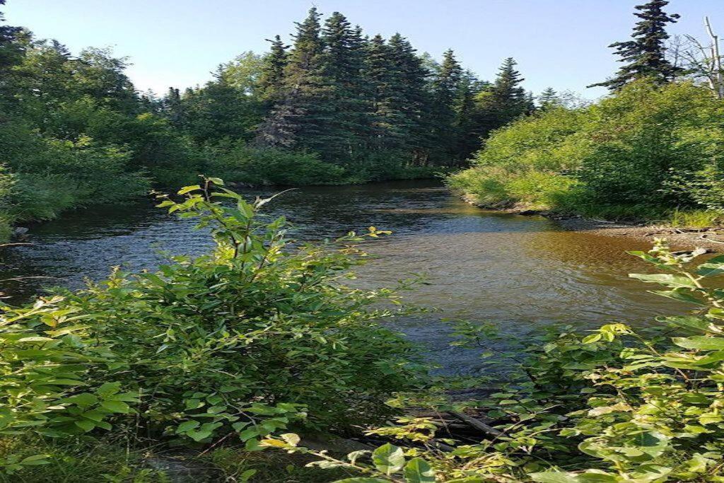Moose Meadows- Near The Airport, Centrally Located アンカレッジ エクステリア 写真